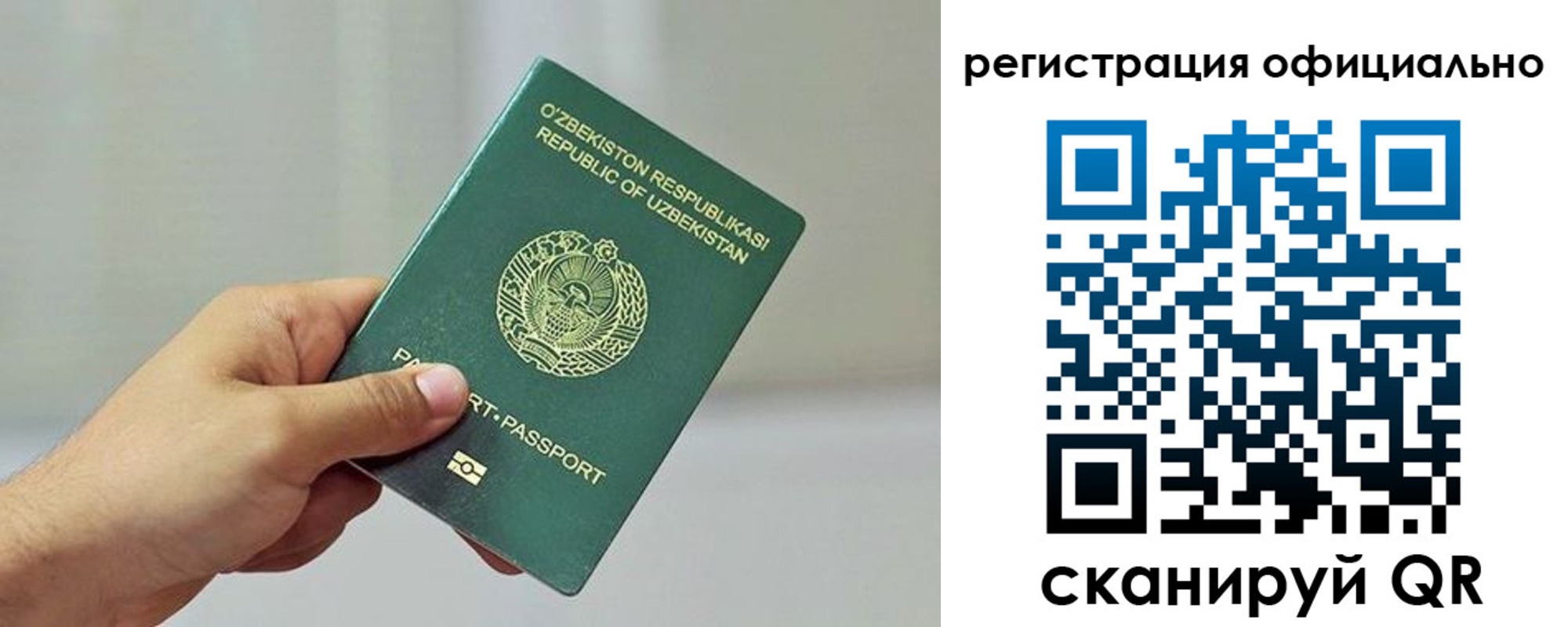 прописка в квартире в Завитинске