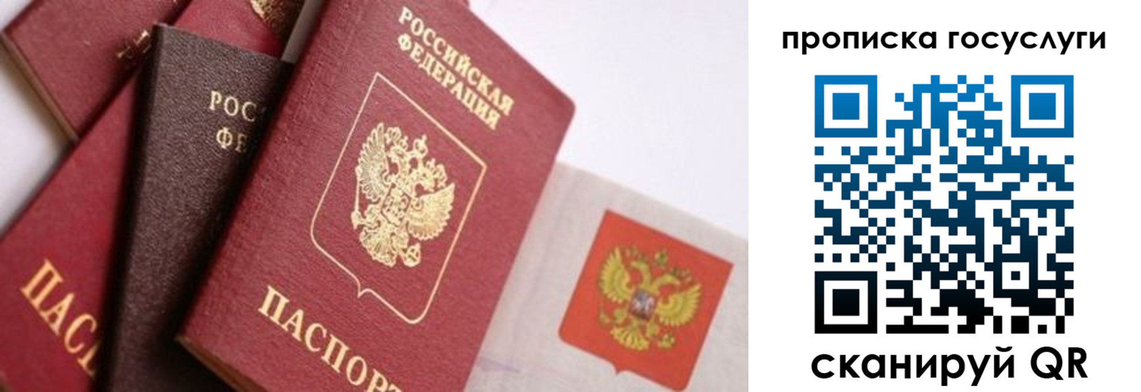 прописка законно в Завитинске
